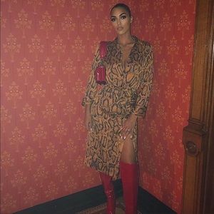 Zara bloggers fave Snake print Dress